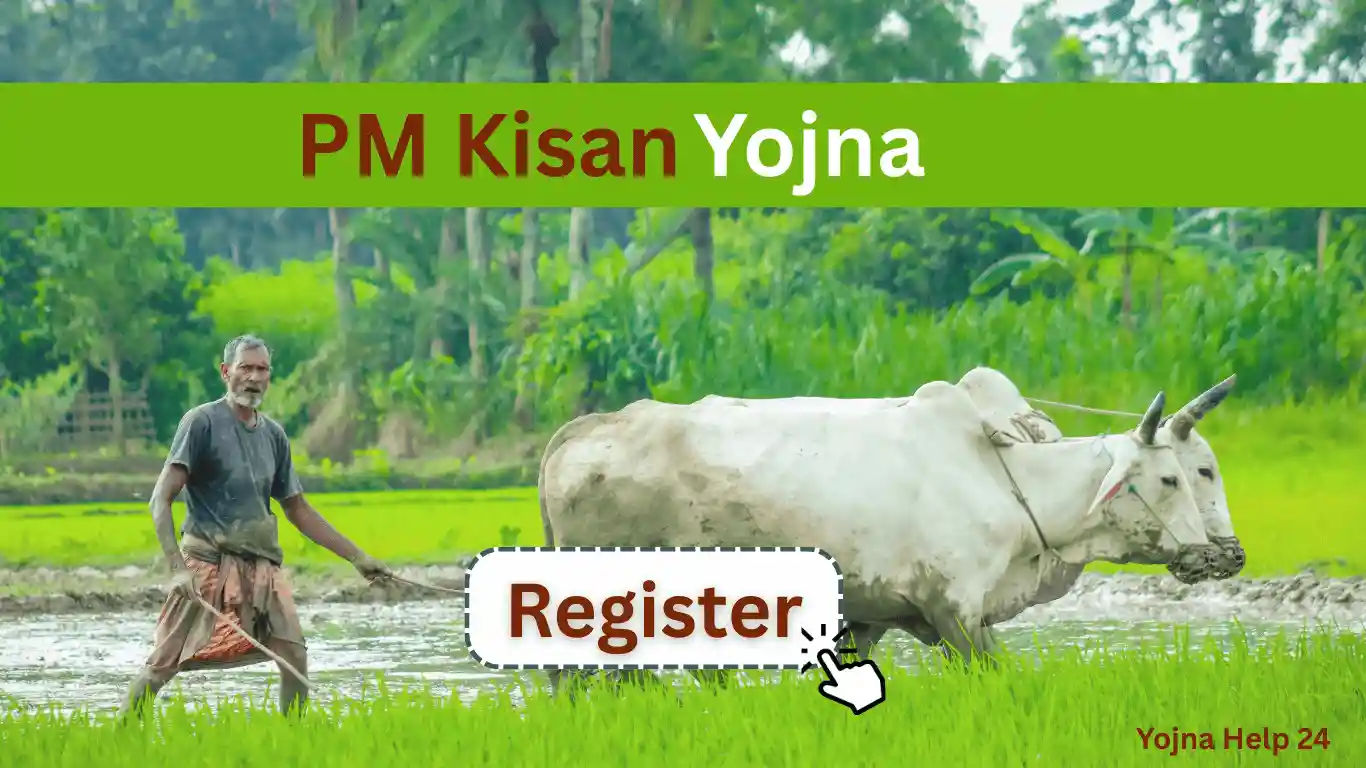 PM Kisan Yojna: 20th Instalment Verification Begins