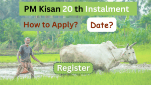 PM-Kisan 20th Instalment Date: How to Apply?